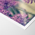 Plakat bez ramy 30x40 - Kwiatowa łąka w pełnym rozkwicie - kwiaty, łąka