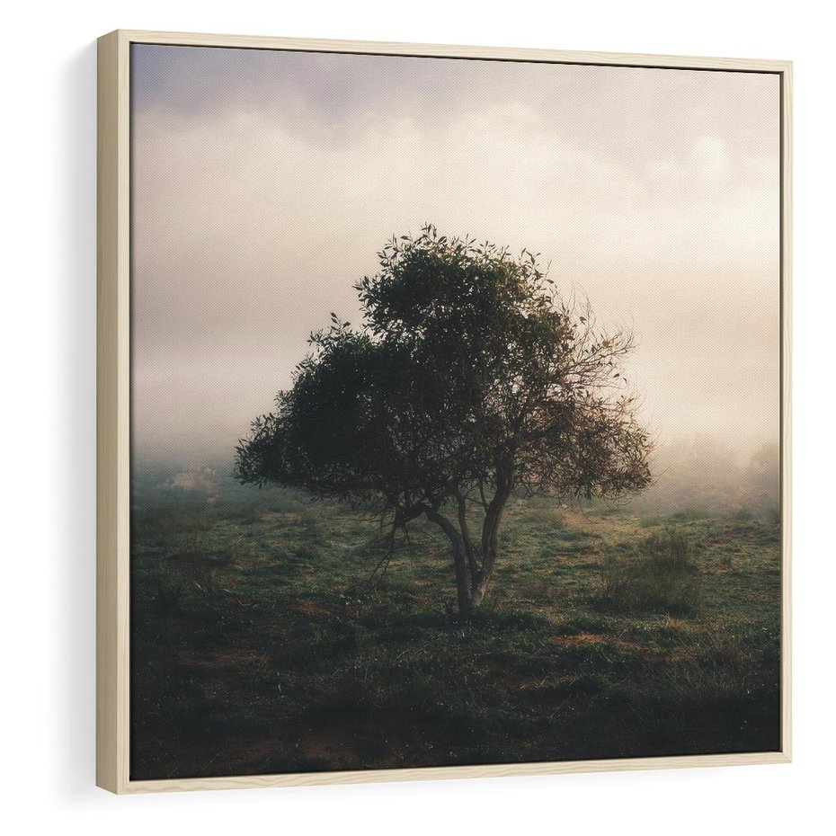 Obraz w ramie 50x50 - Zamglona Prostota - artystyczna fotografia, samotne drzewo na zamglonej łące - rama drewno