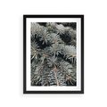 Plakat w ramie 30x40 - Zima na Gałęziach - sosnowe gałęzie, igły - rama czarna