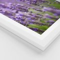 Plakat w ramie 50x70 - Urok lawendy - lawenda, kwiaty - rama biała