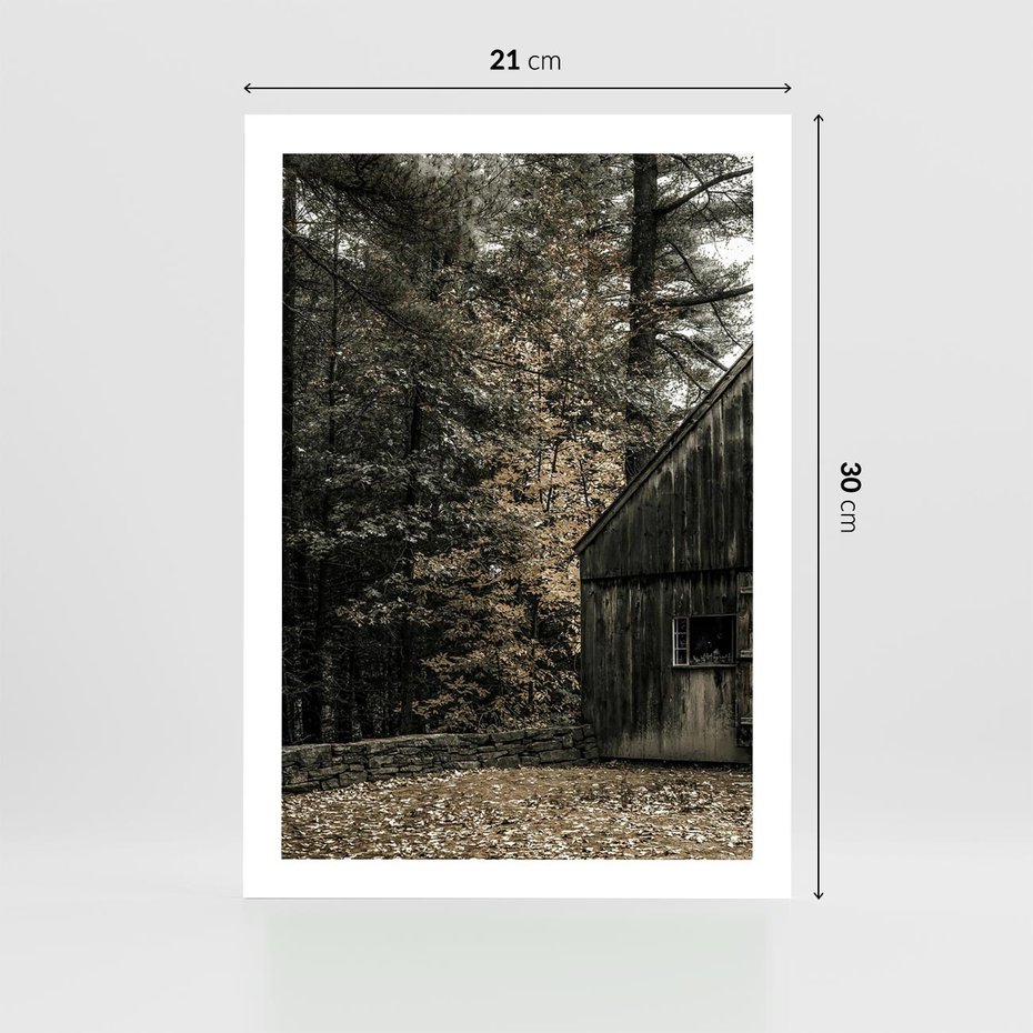 Plakat bez ramy 21x30 - Dom w Lesie - chatka w lesie, górski domek