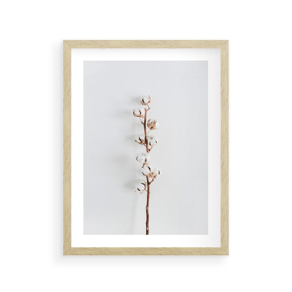 Plakat w ramie 30x40 - Minimalistyczna Gałązka Bawełny - bawełna, gałązka bawełny - rama drewno