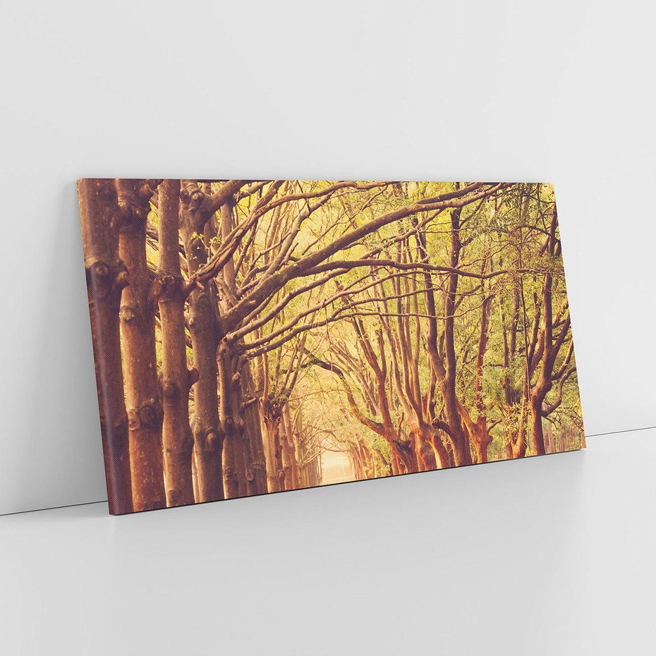 Obraz na płótnie 120x60 - Wędrówka między drzewami - droga, drzewa