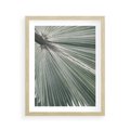 Plakat w ramie 40x50 - Jasnozielony Świat - palma, liść - rama drewno