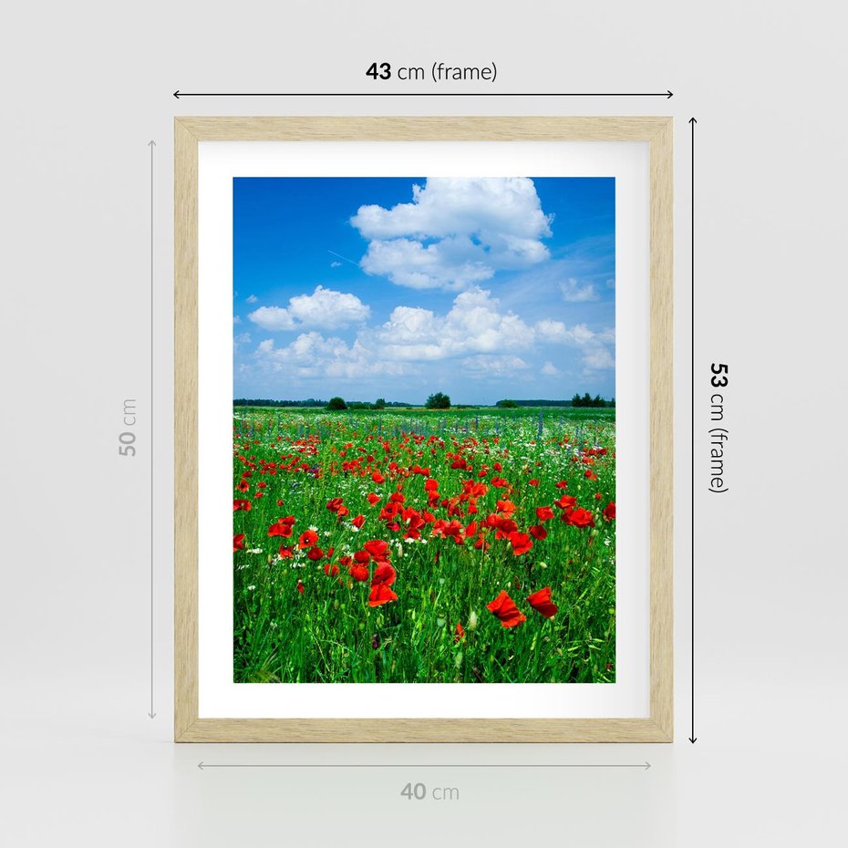 Plakat w ramie 40x50 - Kolorowa łąka pełna maku - łąka, maki - rama drewno