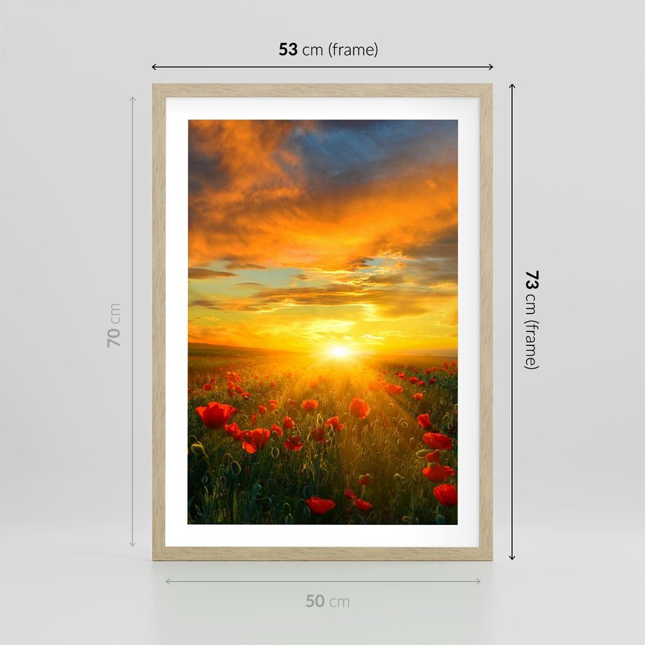 Plakat w ramie 50x70 - Magia zachodu słońca na łące z makami - łąka, zachód słońca - rama drewno