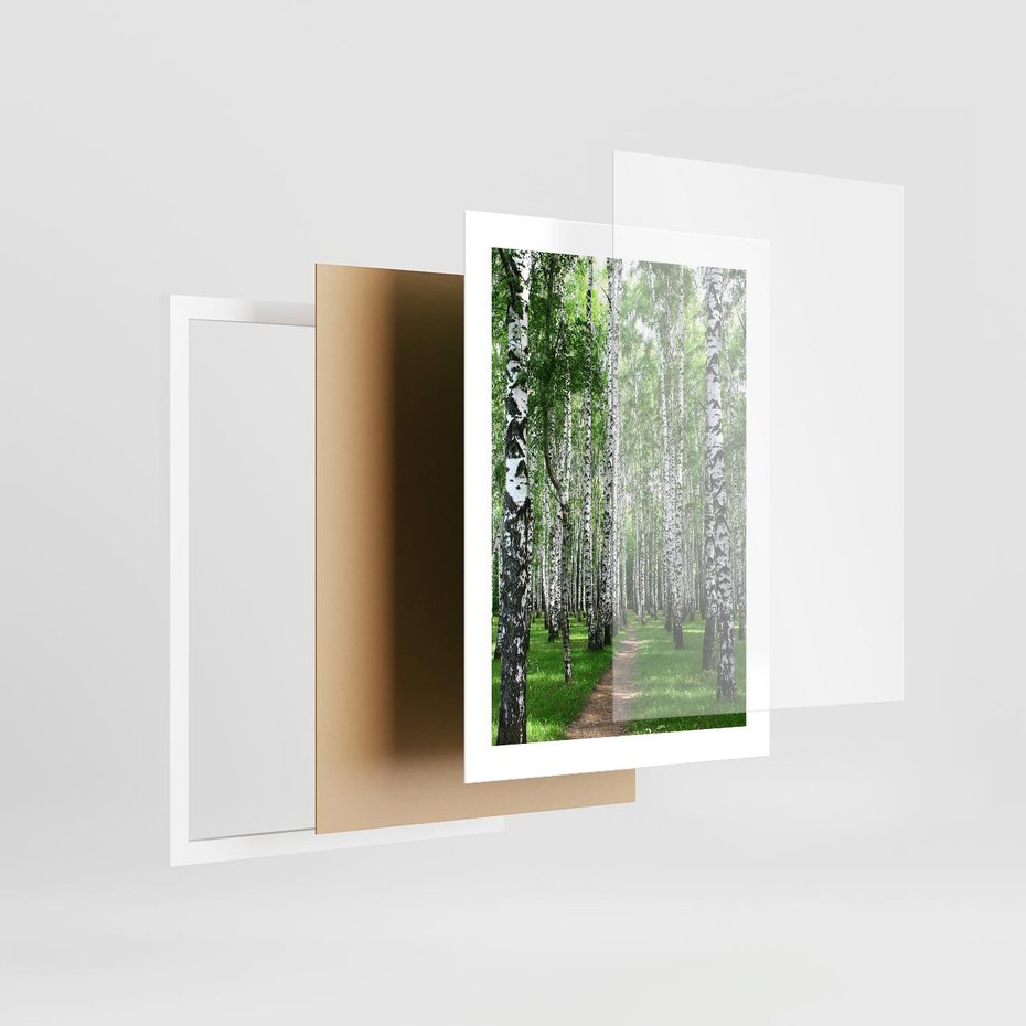 Plakat w ramie 30x40 - Magia lasu pełnego brzóz - las, brzozy - rama biała