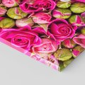 Obraz na płótnie 120x40 - Kwiatowa symfonia róż - róże, kwiaty