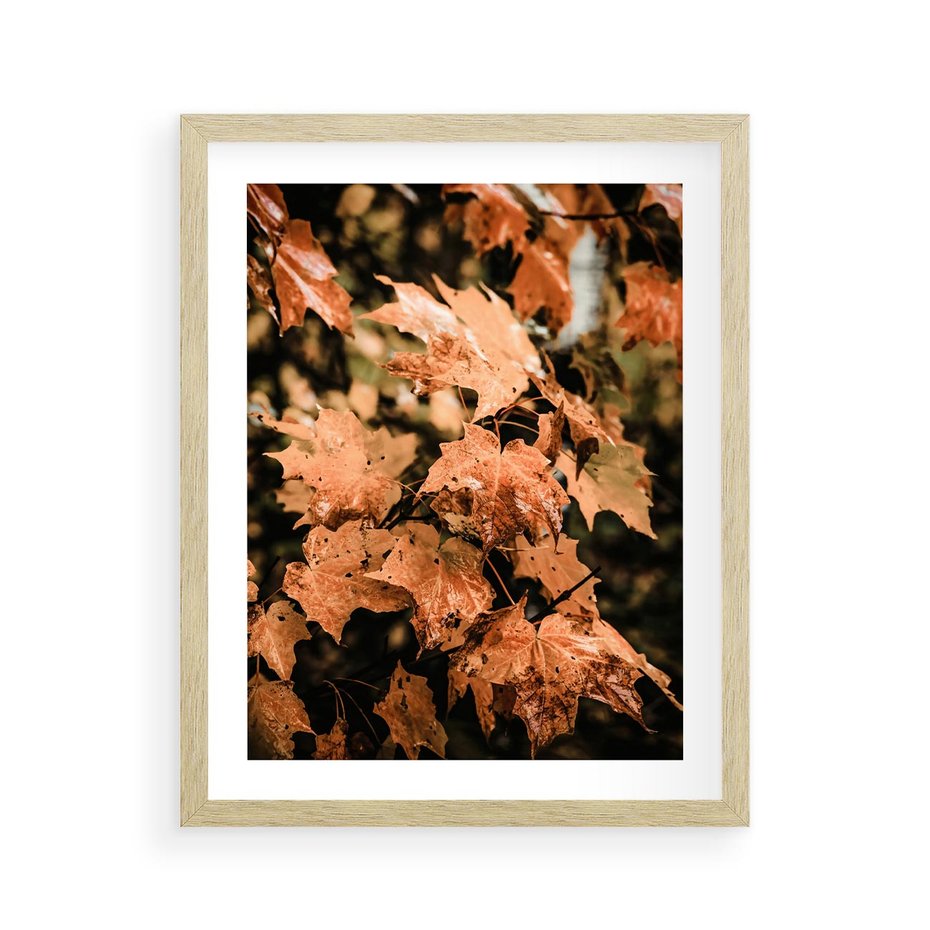 Plakat w ramie 40x50 - Ciepło Jesieni - jesienne pomarańczowe liśćie, jesień - rama drewno