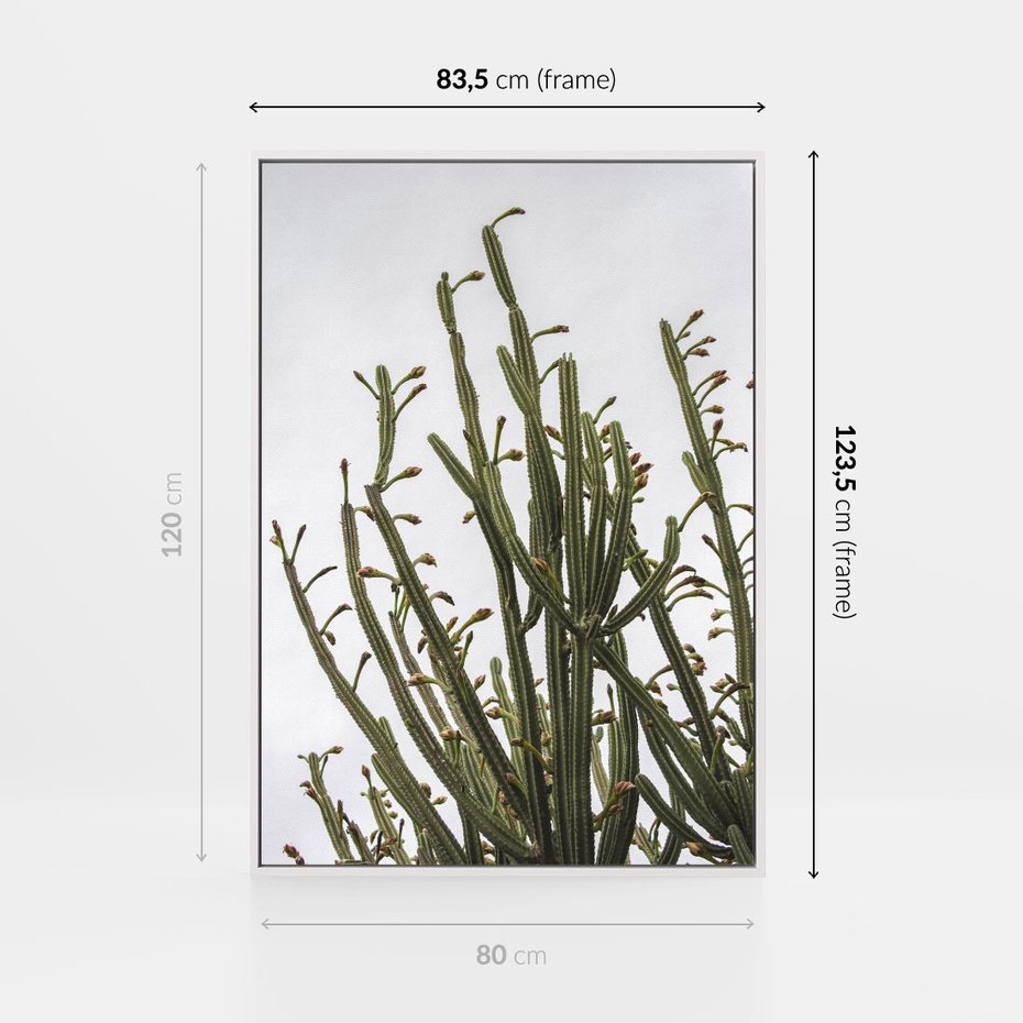 Obraz w ramie 80x120 - Ekskluzywna Roślinność - kaktusy, liście - rama biała