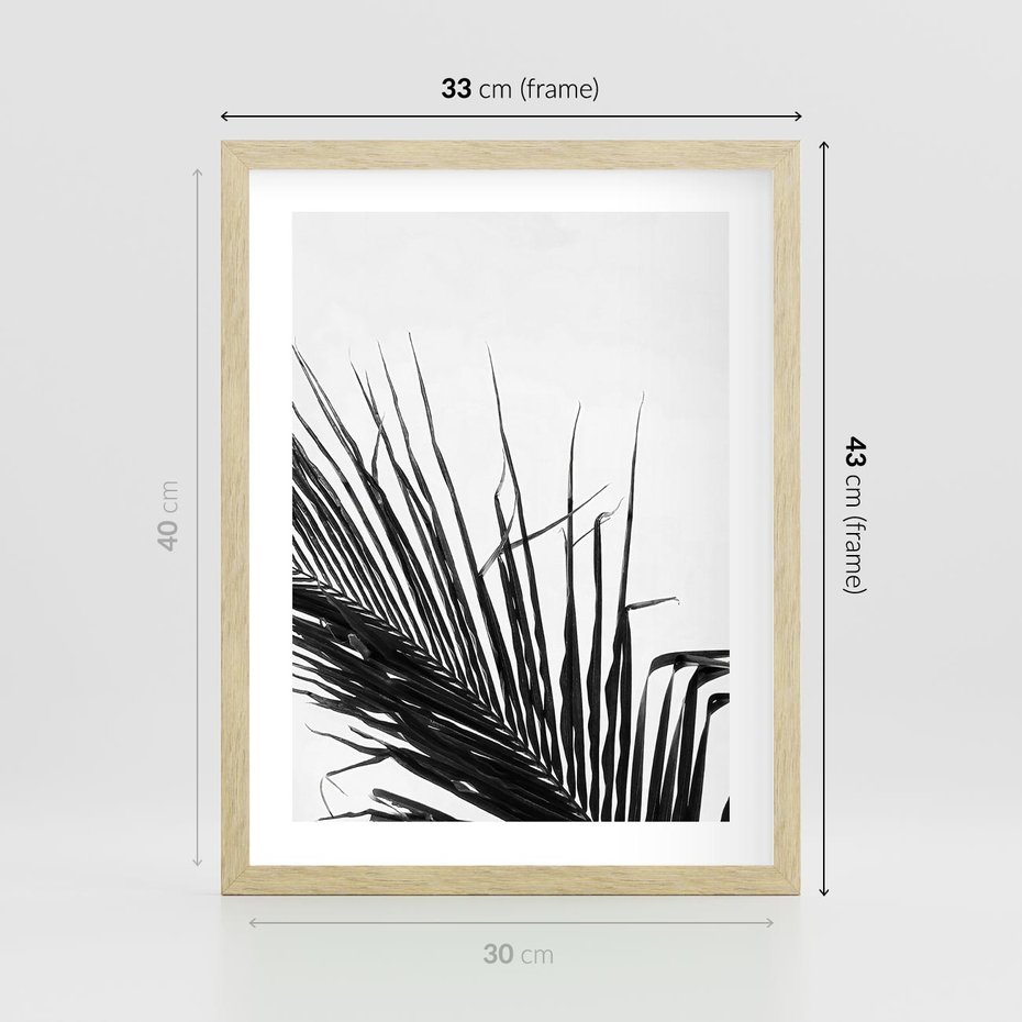Plakat w ramie 30x40 - Sztuka Natury: Monochromatyczna Palma - palma, czarno białe zdjęcie - rama drewno