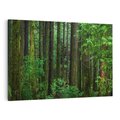 Obraz na płótnie 70x50 - Mistyka leśnej głuszy - las, drzewa