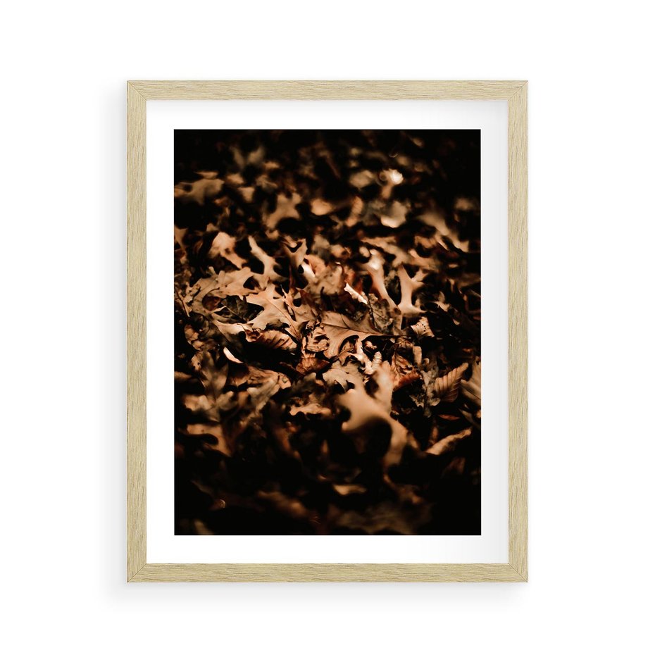 Plakat w ramie 40x50 - Jesienne Liście: Nostalgiczna Kolorystyka - suche liście, jesień - rama drewno