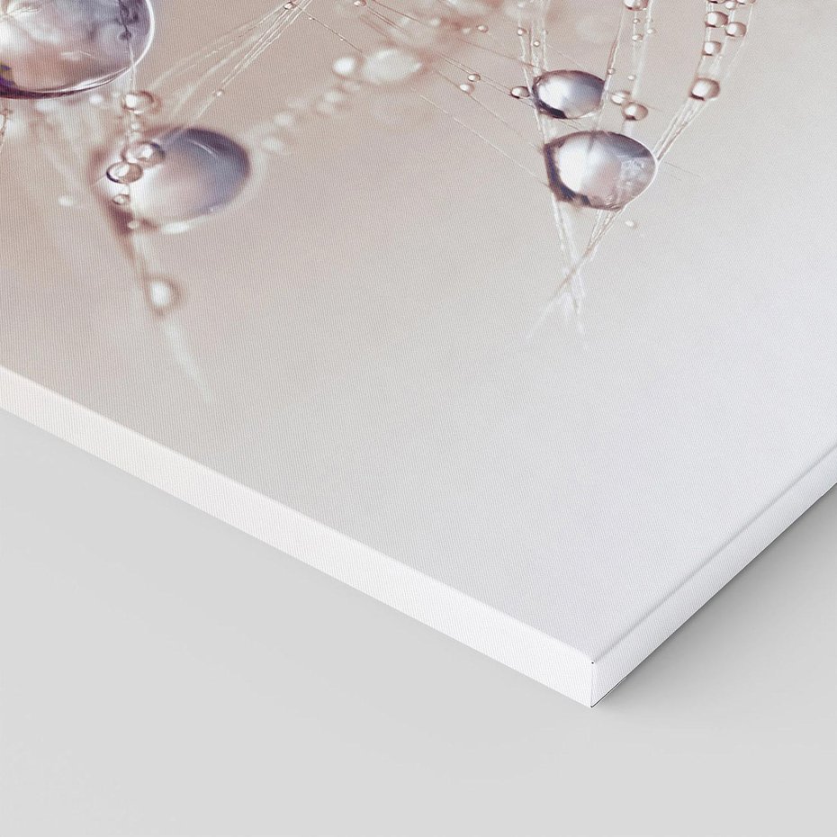 Obraz na płótnie 70x100 - Delikatne Natchnienie - krople, dmuchawce