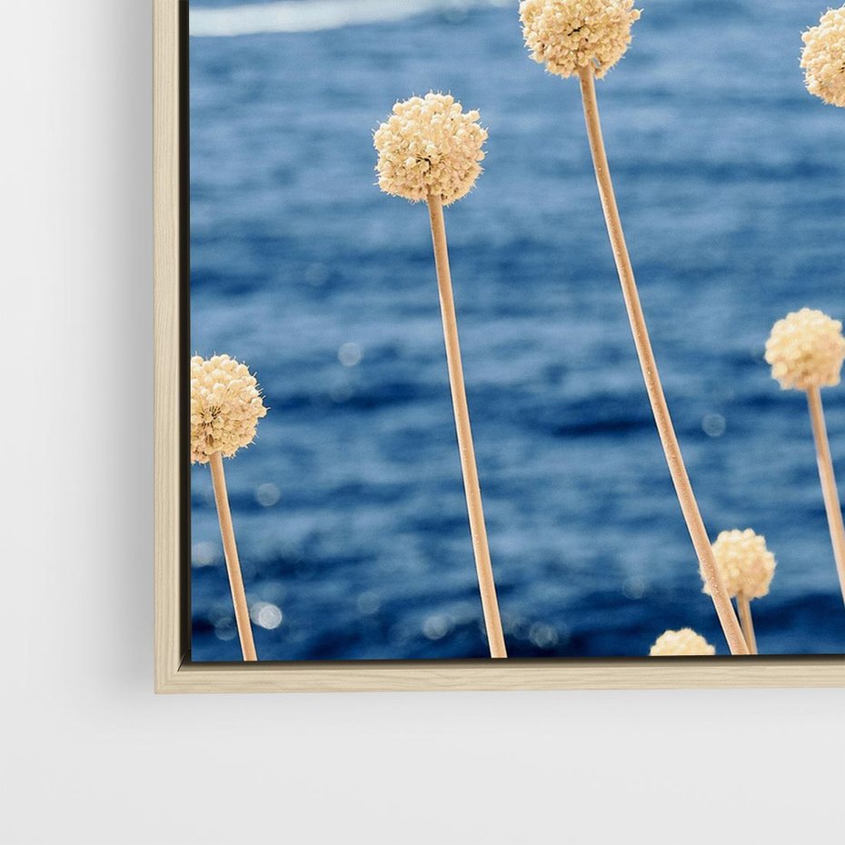 Obraz w ramie 50x50 - Kontrasty Natury - fotografia, pierwszy plan sucha roślinność - rama drewno