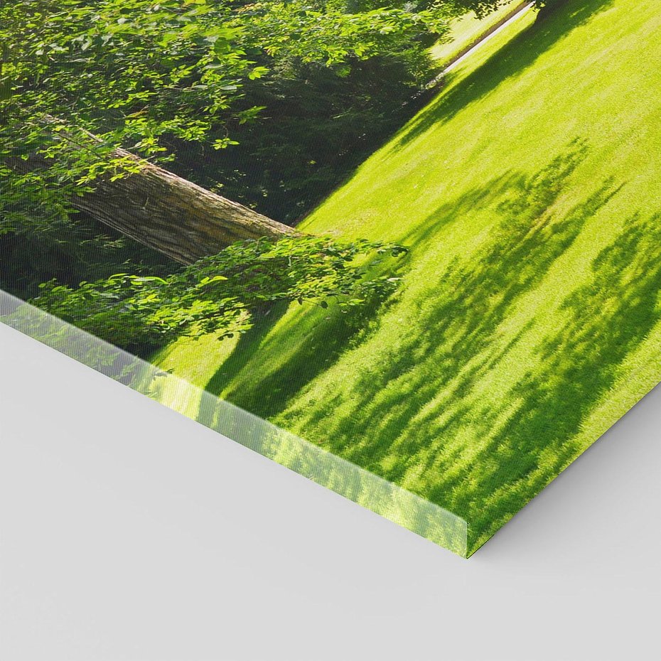 Obraz na płótnie 80x120 - Ogród: urok drzew i roślinności - ogród, drzewa