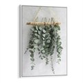 Obraz w ramie 70x100 - Uwodzicielska zieleń eukaliptusa - eukaliptus, zielone - rama biała