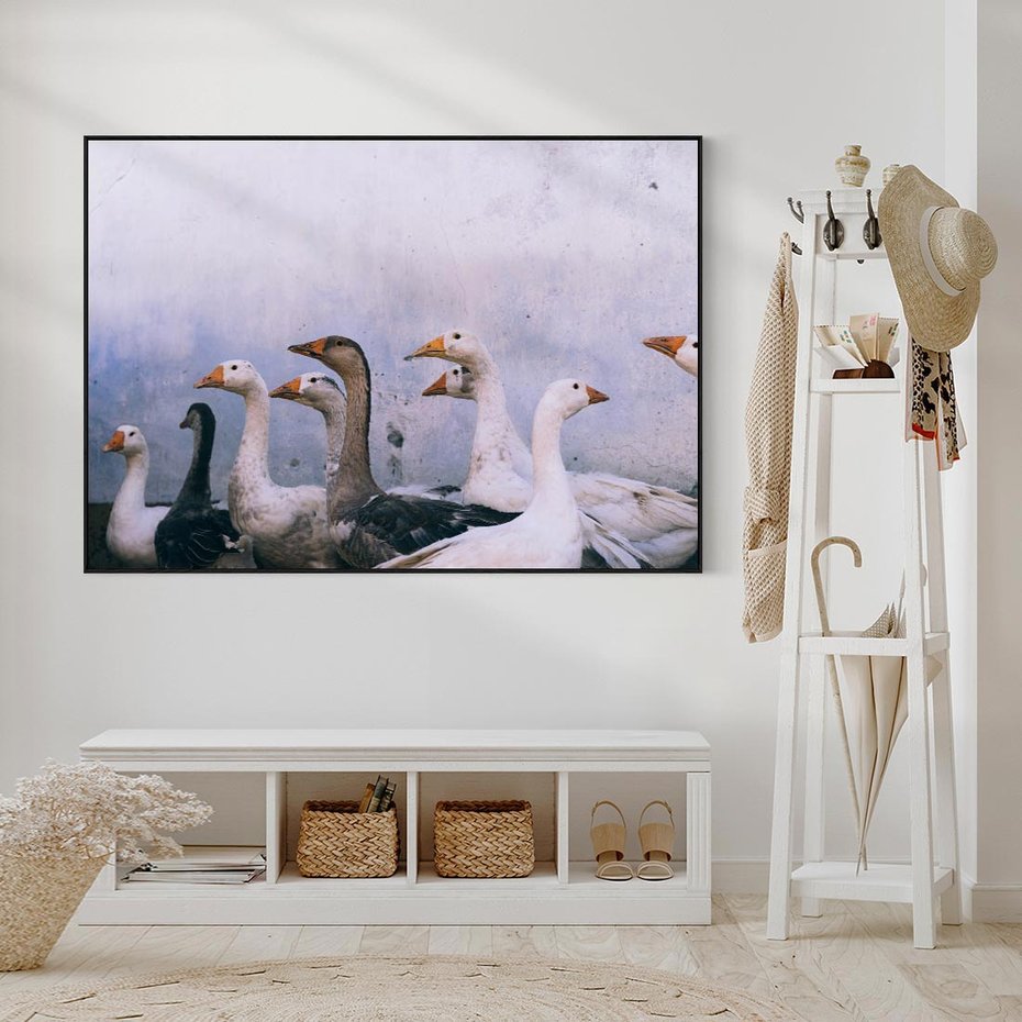 Obraz w ramie 70x50 - Spotkanie Wśród Piór - uchwycony moment, fotografia - rama czarna