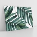 Obraz na płótnie 120x80 - Ruchome liście czasu - liście palmy, tropikalne