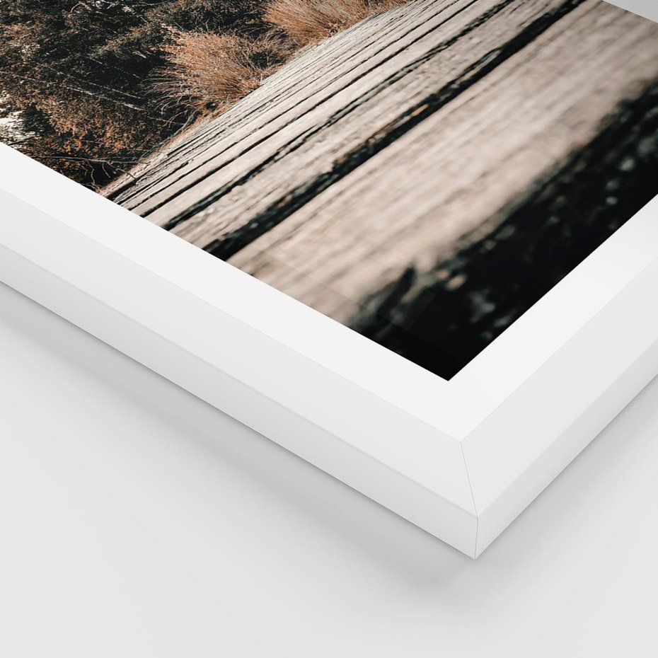 Plakat w ramie 40x50 - Fotografia w Ciepłych Barwach - odcienie brązu, fotografia - rama biała