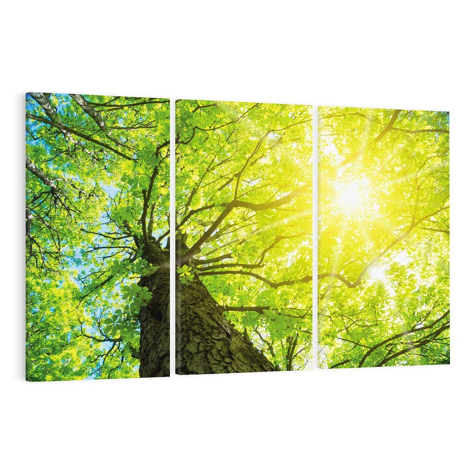 Obraz na płótnie 120x80 - Drzewo pod Słońcem: Łączność z Naturą - drzewo, słońce