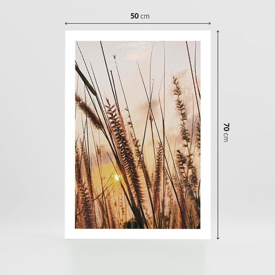 Plakat bez ramy 50x70 - Malownicza Łąka z Trawam - trawy, łąka