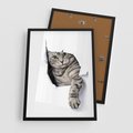 Plakat w ramie 50x70 - Tajemniczy kot i jego świat - kot, dziura - rama czarna