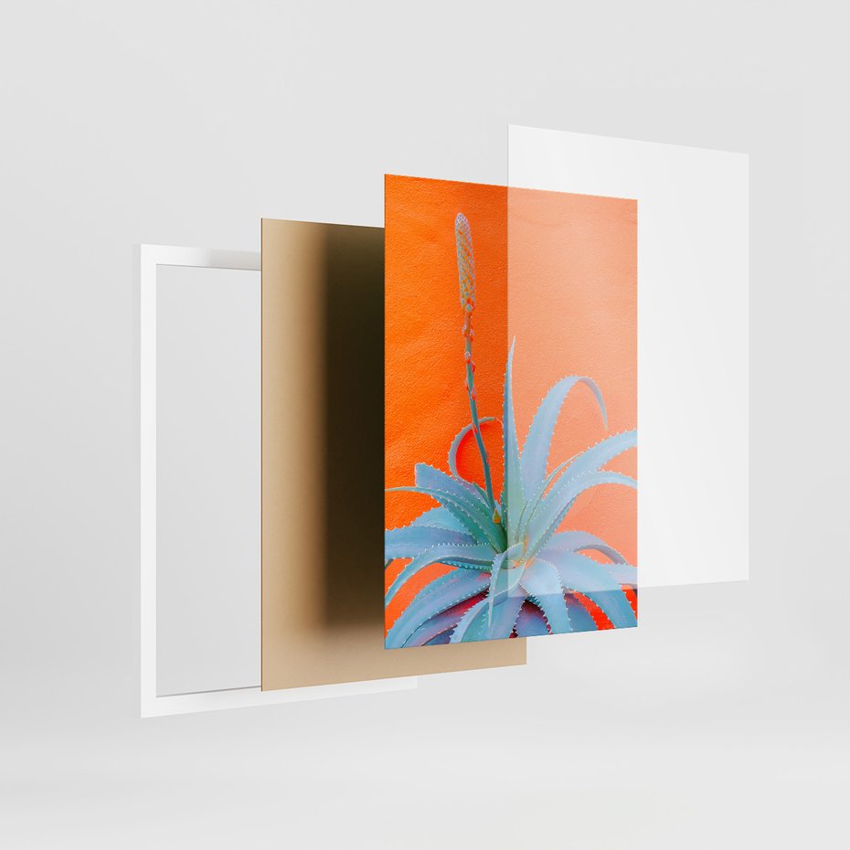 Zestaw obrazy w ramie 50x70 galeria - Liście, rośliny, energetyczne, neony - rama biała