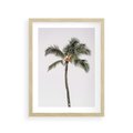 Plakat w ramie 30x40 - Wakacyjne Marzenia - palma na tle nieba - rama drewno