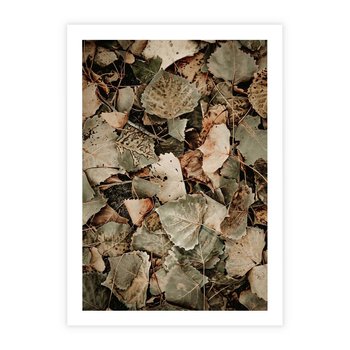 Plakat bez ramy 30x40 - Magia Jesiennych Liści - liście, suche liście