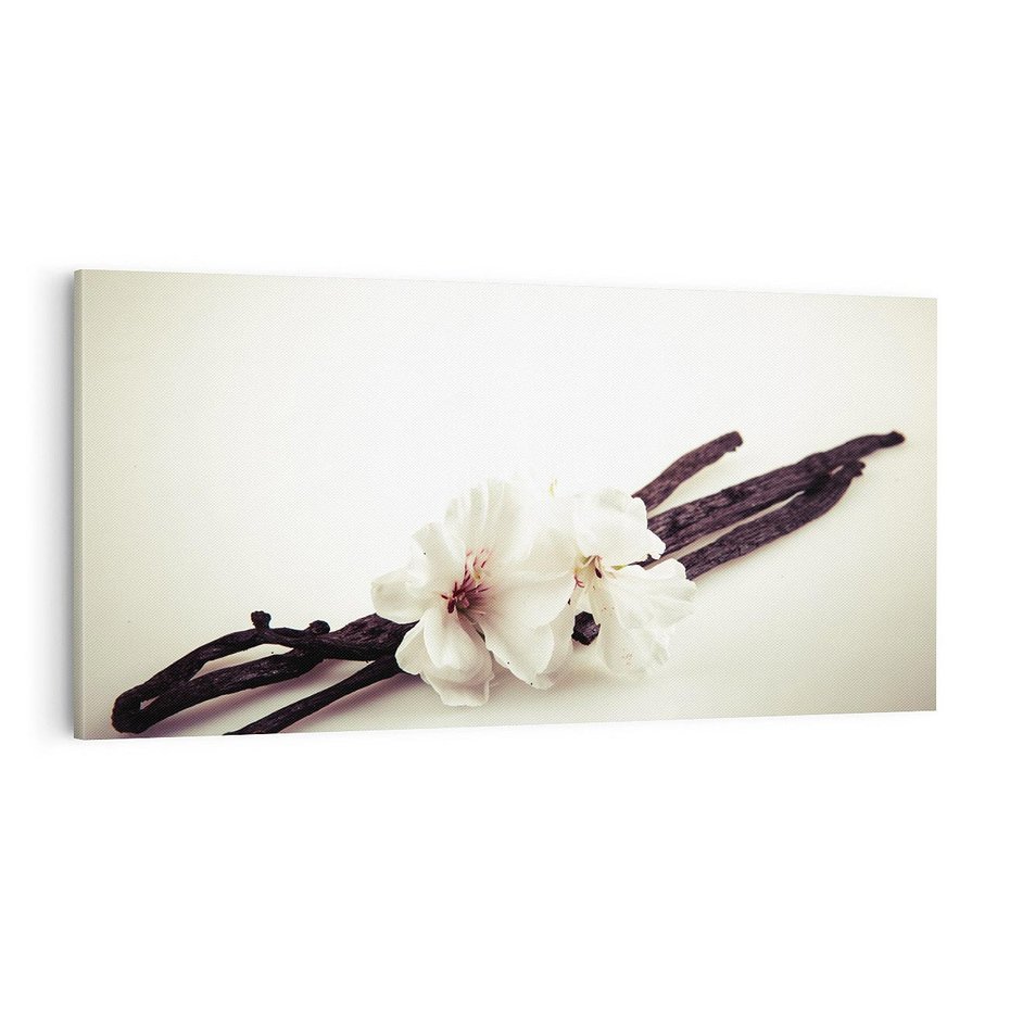 Obraz na płótnie 100x50 - Czuła delikatność wanilii - wanilia, kwiaty