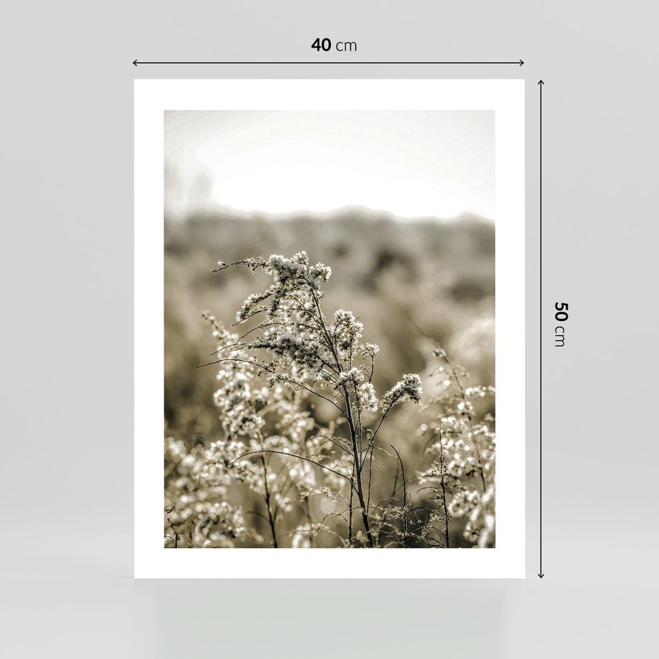 Plakat bez ramy 40x50 - Pampas i Bocho - suche trawy, bocho