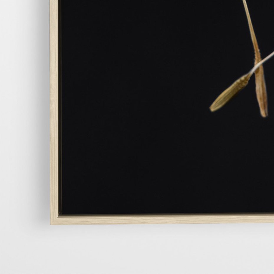 Obraz w ramie 80x120 - Delikatność Wiatru - dmuchawce, makro - rama drewno