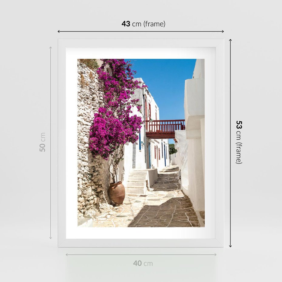 Plakat w ramie 40x50 - Kwiaty Chorwacji - kwiaty, Chorwacja - rama biała