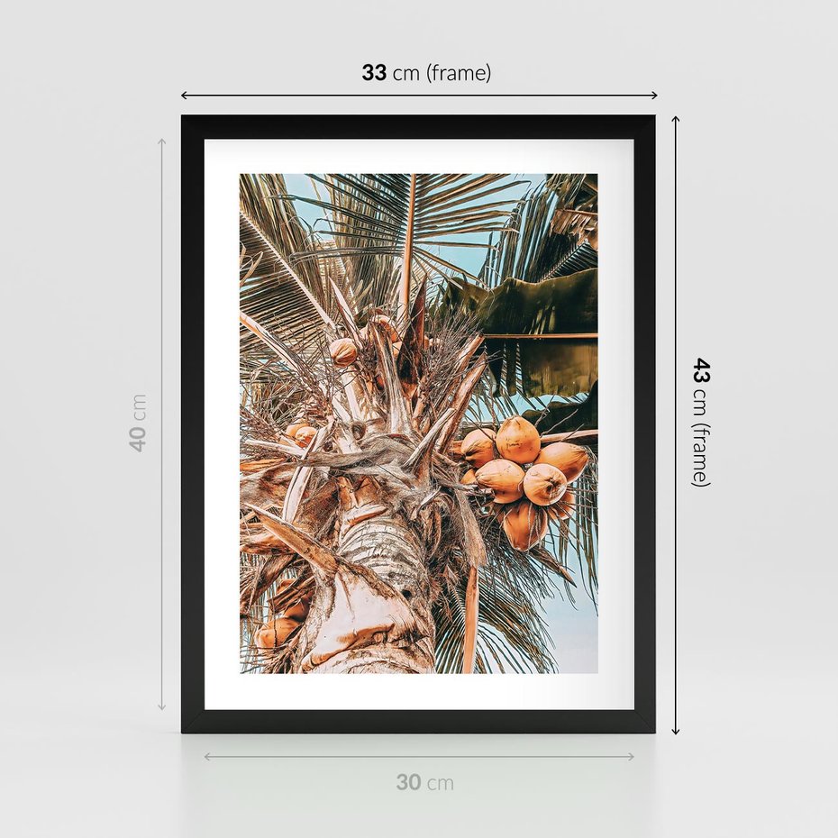Plakat w ramie 30x40 - Tropikalna Palma: Fotografia z Kokosami - palma kokosowa, kokosy - rama czarna