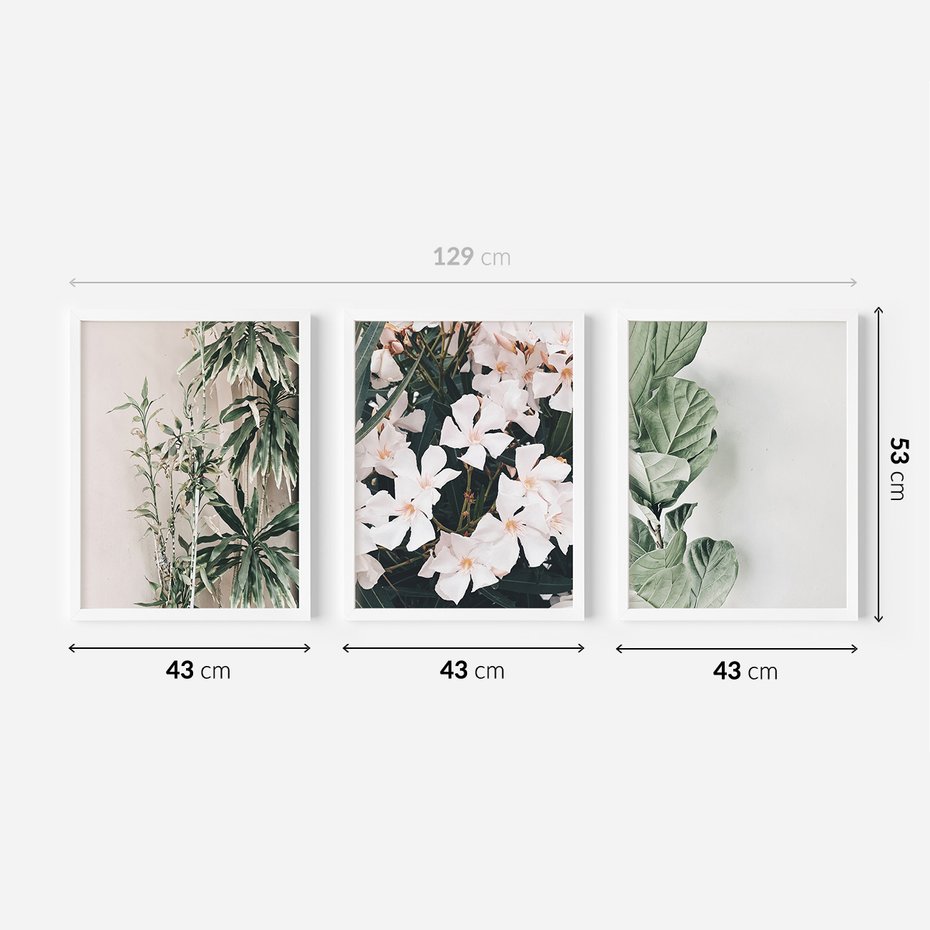 Zestaw obrazy w ramie 40x50 galeria - Liście, kwiaty, nowoczesny, styl - rama biała