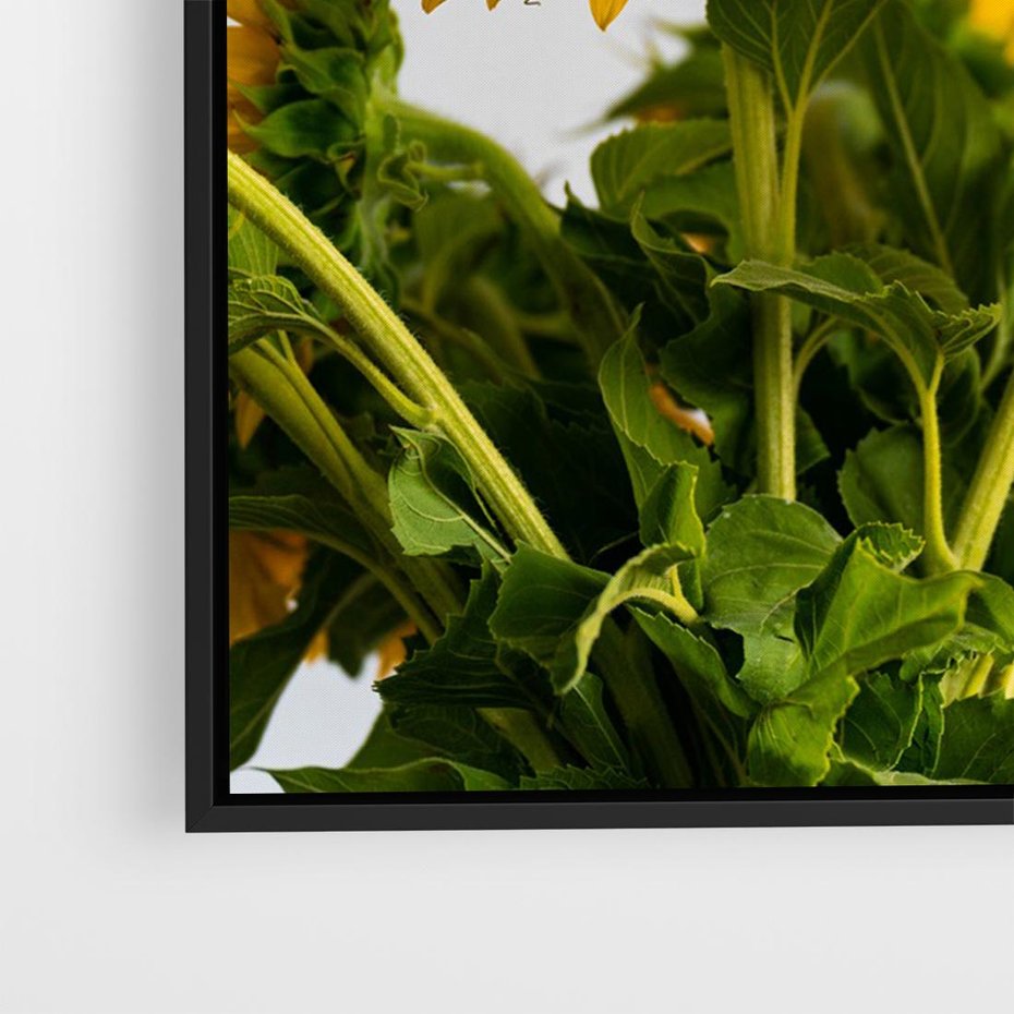 Obraz w ramie 70x50 - Słoneczna Radość - fotografia, żółte słoneczniki - rama czarna