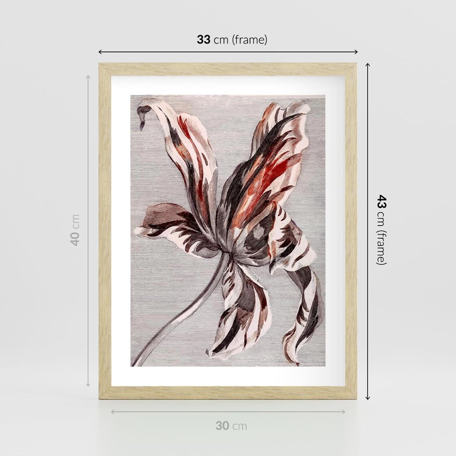 Plakat w ramie 30x40 - Graficzna Elegancja - nowoczesna sztuka, grafika - rama drewno