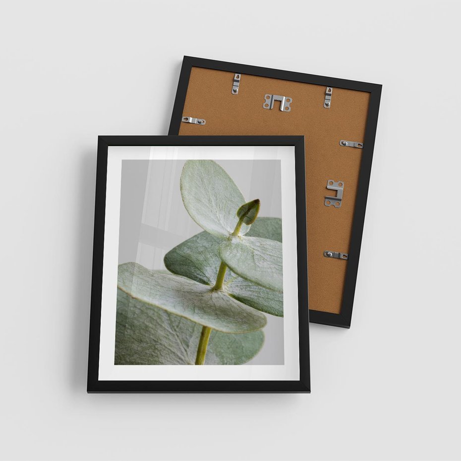 Plakat w ramie 40x50 - Eukaliptusowa zieleń - eukaliptus, zielone - rama czarna