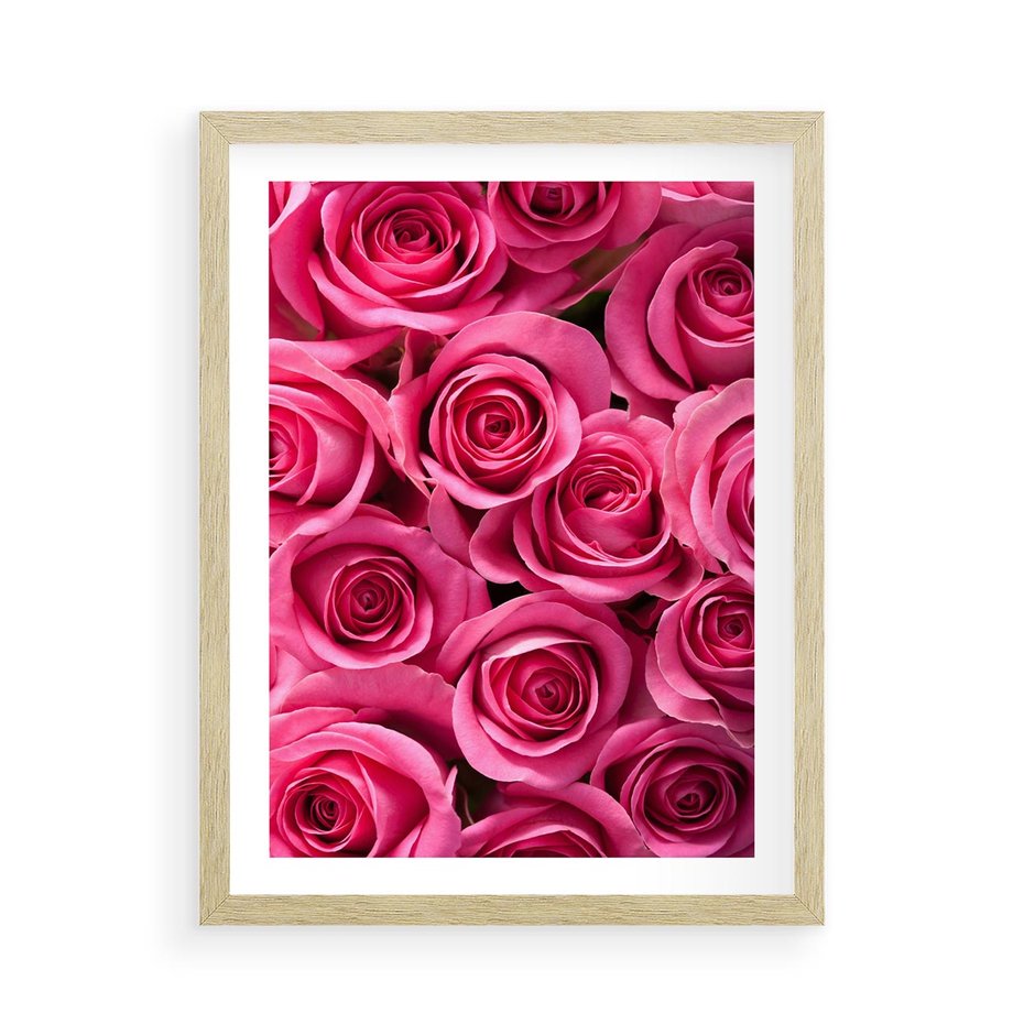 Plakat w ramie 50x70 - Romantyczne róże w pełnym rozkwicie - róże, kwiaty - rama drewno