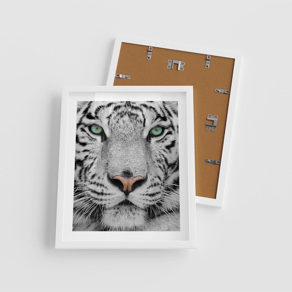 Plakat w ramie 40x50 - Magia Białego Tygrysa - biały, tygrys - rama biała