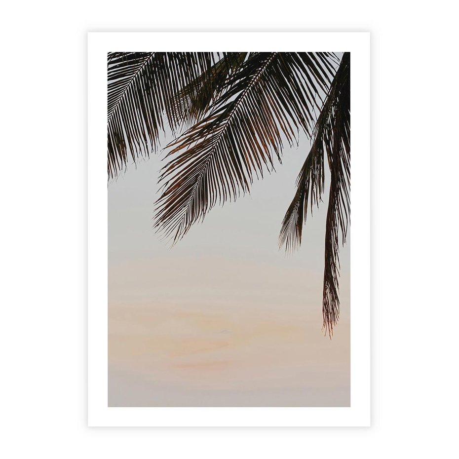 Plakat bez ramy 21x30 - Tropikalna Harmonia - palmy na tle nieba