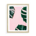 Plakat w ramie 50x70 - Minimalizm Natury - minimalizm, liście monstery - rama drewno