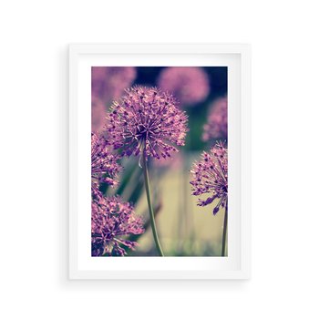 Plakat w ramie 30x40 - Kwiatowa łąka w pełnym rozkwicie - kwiaty, łąka - rama biała