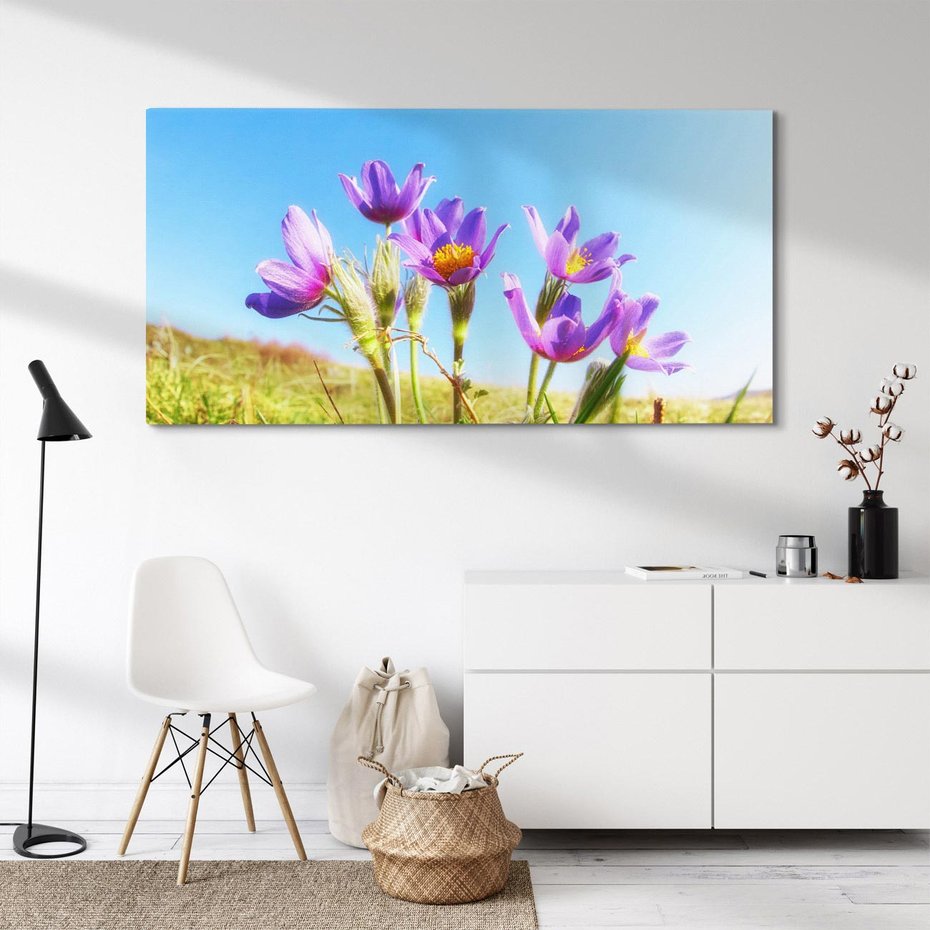 Obraz na płótnie 140x70 - Kwiatowa siła łąki - kwiaty, łąka