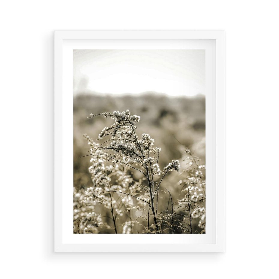Plakat w ramie 50x70 - Pampas i Bocho - suche trawy, bocho - rama biała