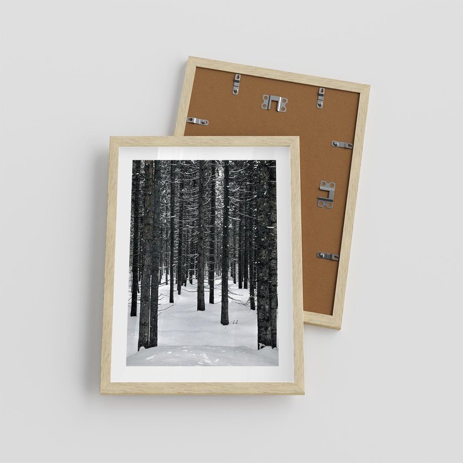 Plakat w ramie 30x40 - Zimowe Drzewa: Śnieg na Pniach - drzew w zimi, pnie drzew - rama drewno