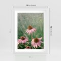 Plakat w ramie 30x40 - Natura w Pełnym Blasku - kwiaty na łące, różowe kwiaty polne - rama biała