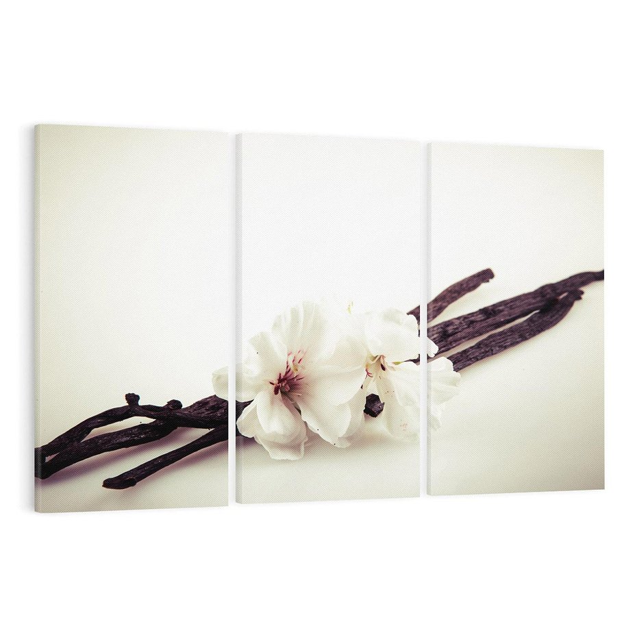 Obraz na płótnie 120x80 - Czuła delikatność wanilii - wanilia, kwiaty