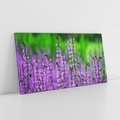 Obraz na płótnie 120x60 - Lawenda magia purpury - lawenda, kwiaty